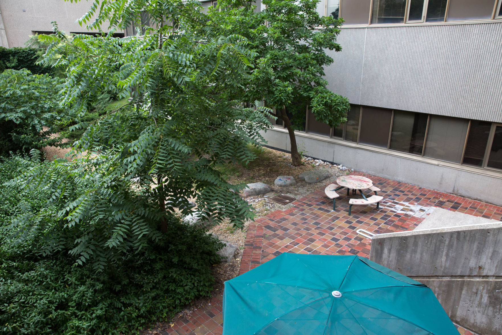 Campus' greenest spots to study (photo 3, SSC).jpg